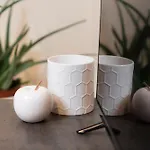 아파트 Domus Acaja *