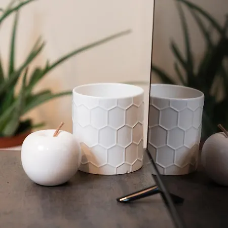 Appartement Domus Acaja *