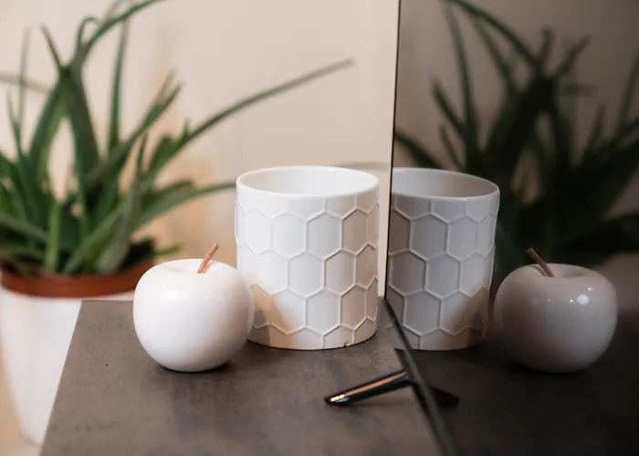 Apartment Domus Acaja *